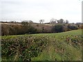 View across the incised Moneycarragh River valley towards houses on School Road