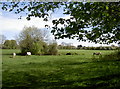 Across Whitchurch fields