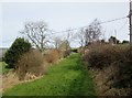 Grassed  track  to  Low  Fairhead