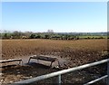 Heavily trampled fields on the south side of Manse Road