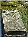 Grave in the old graveyard above Copthill Quarry (detail)