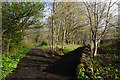 Public footpath towards Blacker Road, Huddersfield