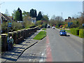 Kings Road Roundabout bus stop