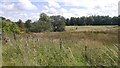 Wetland, Lesmahagow