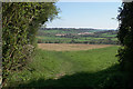 Footpath leaving Andridge