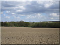 View towards Goldthorpe