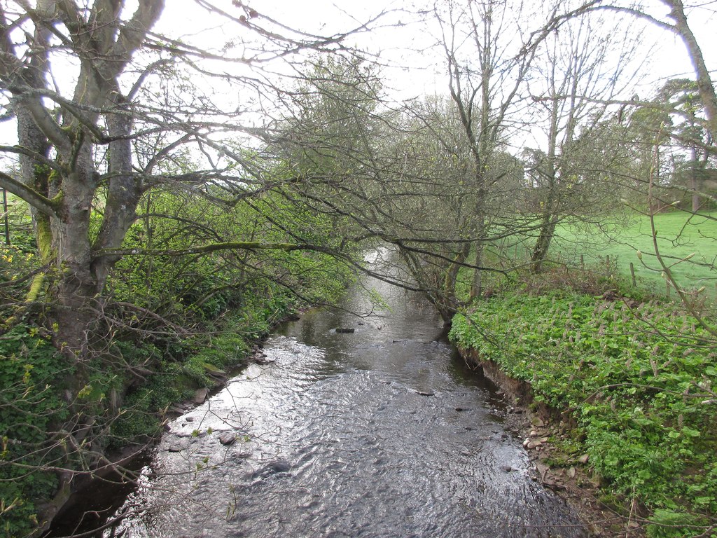 Kerbet Water At Carterhaugh © Scott Cormie Cc-by-sa 2.0 :: Geograph 