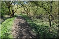 The Severn Way beside Duck Brook