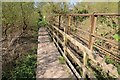 SO8552 : Footbridge beside the River Severn by Philip Halling