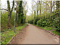 Foot and cycle path towards Earlswood