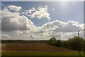 Fields outside Witham, from the railway