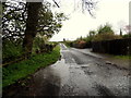 Water along Dunmullan Road