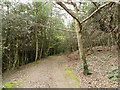 Path, Redhill Common