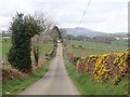 View Northwest along Moneycarragh Road from near Savage