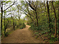 TQ2749 : Path, Redhill Common by Robin Webster