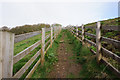 Kirklees Way towards Top of Cowcliffe