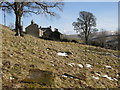 Graves in the old graveyard above Copthill Quarry (2)