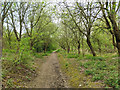 Path from Earlswood Lakes to Woodhatch Road