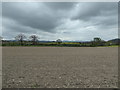 View on part of the Shropsphire Way near Craven Arms