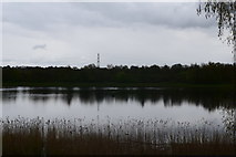 SE3217 : Reed fringed lake at Pugneys Country Park by steven ruffles