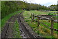 Path at Plaitford