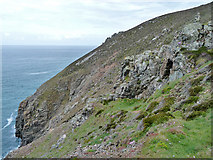 SW6950 : Coastal slope north of Tubby's Head by Robin Webster