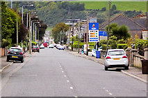 D4003 : Glenarm Road (A2) Larne by David Dixon