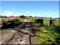 Shadows along Lislafferty Road