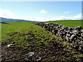 Dry stone wall, Magheracoltan