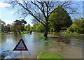 Flooding, Great Stour river, Canterbury