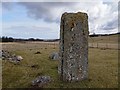 NH7543 : Milton of Clava Ring Cairn by valenta
