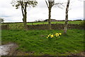 View over grass field towards Harmby Moor House