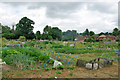 Riding School Allotments