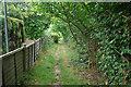 Footpath from Rowan Close to Arbutus Road