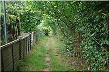 TQ2649 : Footpath from Rowan Close to Arbutus Road by Robin Webster