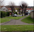 Paths towards Lime Tree Avenue, Broadway