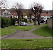 SP1037 : Paths towards Lime Tree Avenue, Broadway by Jaggery