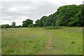 Footpath near Royal Earlswood Park