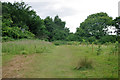 Footpath near Royal Earlswood Park