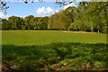 Field and trees at Shootash Common