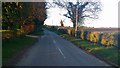 Ribston Road, Spofforth