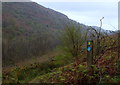 Waymarker post 38 and valley view, Crychan Forest area