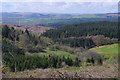 Extensive view west over the Crychan Forest