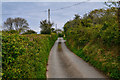 North Devon : Shute Lane