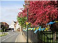 TA0339 : Tour  de  Yorkshire  2018  Beverley  Minster  railings by Martin Dawes