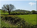 View towards Nyland Hill