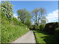 Country lane, Little Norton