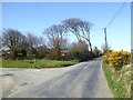 The trees that shelter New Park Farm