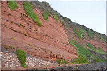 SX9777 : Red sandstone cliff by railway line by N Chadwick