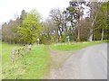 NU0120 : Pennine Cycleway near Calder Farm by Oliver Dixon